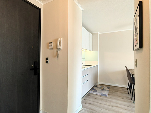 Oportunidad Inversion - Venta Depto Amoblado Carmen 1d1b