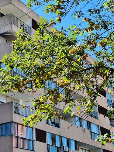 Alquiler Apartamento Tres Cruces 1 Dormitorio Montecaseros Balcón Tza Lavadero