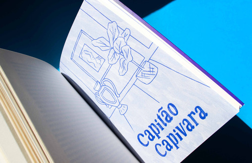 Pó de parede, de Carol Bensimon. Editora DUBLINENSE, capa mole em português