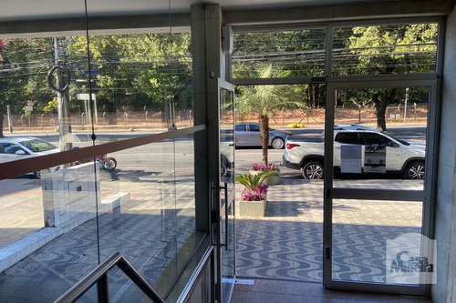 Imagem 12 de 12 de Sala-andar À Venda No São José - Código 269321 - 269321