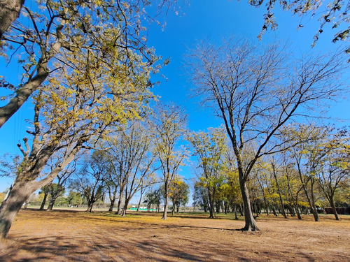Lotes - Terreno En Venta - Barrio Abierto - Las Merceditas