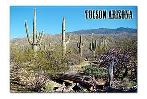 Classical Creations Tucson Arizona Saguaro
