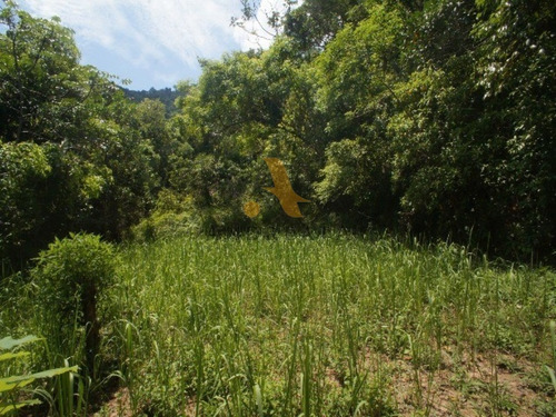 Imagem 17 de 30 de Varem Pequena - Rua Hélio Oiticica - Maravilhoso Sitio Em Local Bucólico, Com Área Total De Terreno Cm 28.120m². - Sqa0090l - 32057997