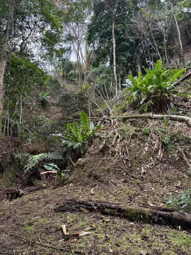 Hermosísima Finca Para Inversión