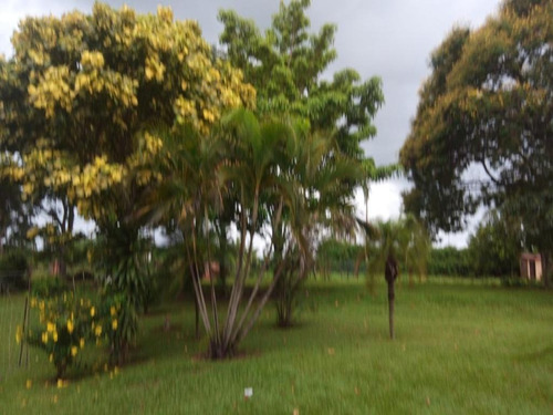 Imagem 16 de 23 de Linda Chácara À Venda Em Porto Feliz - Ch00323 - 69178450