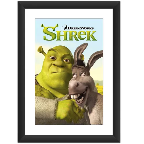 Placa Decorativa Burro Shrek - AliExpress