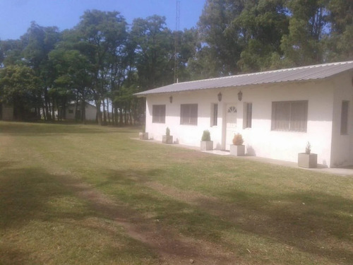 Imagen 13 de 18 de Venta Chacra 40 Hs Con Criadero De Cerdos En Las Flores.
