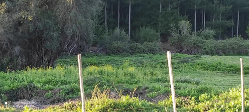 Parcela Ubicada En Curico
