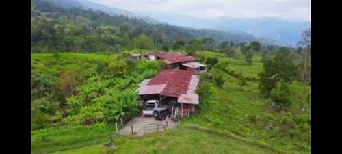 Excelente Finca En Chiguara Mérida