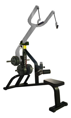 Maquina Gimnasia Dorsalera Alta A Y Con Porta Discos Genetic Estructura Plata