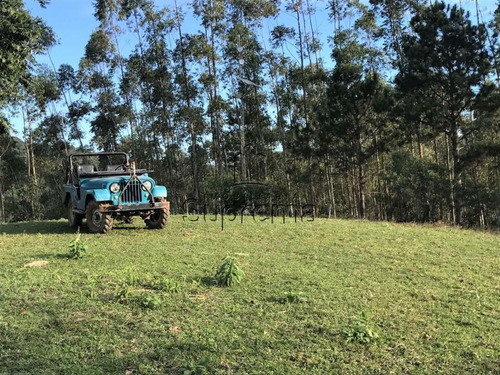 Imagem 2 de 11 de Sitio Em Gaspar - 997