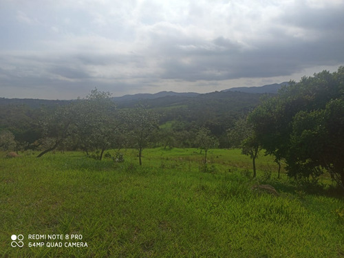Imagem 17 de 17 de 10. Lotes A Venda (800m²) , Agende Já Uma Visita