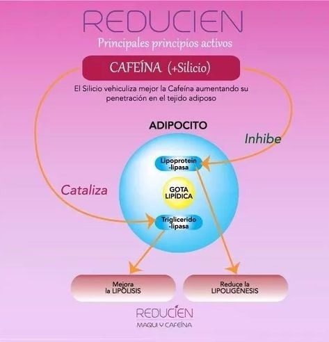 Imagen 7 de 7 de Yesoterapia Vendas Yeso Reductivas Profesional 6 Unidades