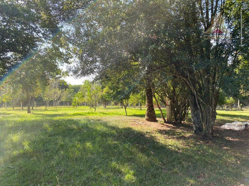 Vendo Sítio Próximo Ao Hotel Ventura Em Viamão Rs Sítio De Final De Rua - Ch0007