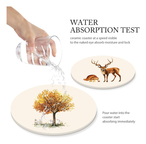 Juego De 6 Posavasos Para Absorber Bebidas, Redondos, De Cer