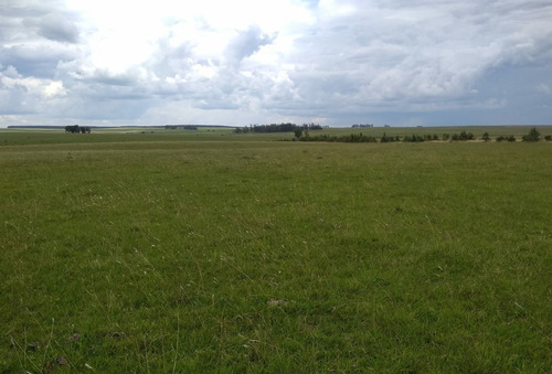 Venta De Campo Ganadero Agrícola Ruta 7 Km328