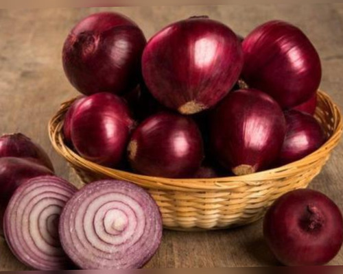 240 Sementes De Cebola Red Creole Roxa Aroma E Sabor.