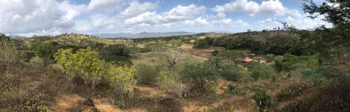 Imagen 16 de 16 de Finca En Falcon En Venta.lf