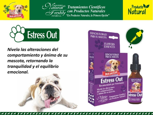 Esencias Florales Para Mascotas Equilibra Su Comportamiento