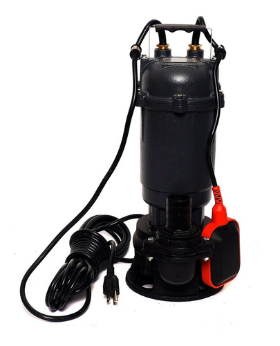 Bomba Sumergible Agua Turbia 3/4 Hp, 550w  Igoto Wqd10