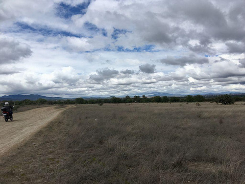 Terreno En Zumpango, Edo. De Méx. Sup. 70 Hectáreas.