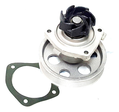 Bomba De Agua Fiat Palio/siena/uno/fiorino Mpi 1.3 Rds