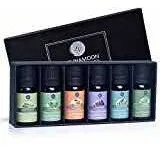 Comprar Set De Aceites Esenciales Lagunamoon Aromaterapia.