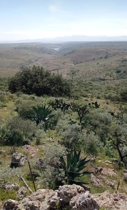 Se Venden 415 Hectáreas En San Diego De La Unión Guanajuato