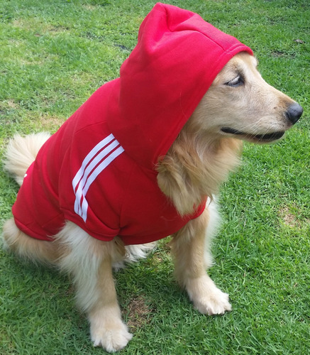 Roupa De Cachorro Médio/ Grande Frio Inverno