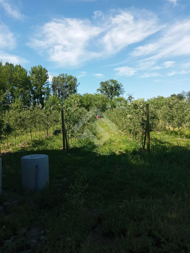 Agrícola En Venta En Linares