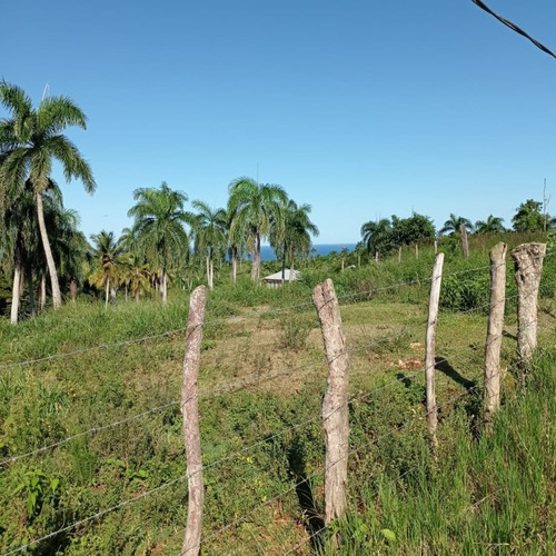 Imagen 5 de 9 de Lote En El Sector Catalina, Municipio Cabrera