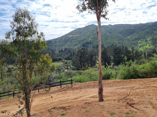 Vendo Parcelas A 20 Kms. Aproximadamente De Peralillo