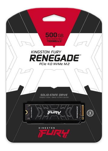 500g Fury Renegade M.2 2280