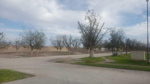 Terreno En Venta En Rancho La Barranca En Torreón, Coahuila.