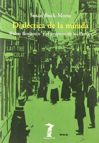 Dialéctica De La Mirada: Walter Benjamin Y El Proyecto De Lo