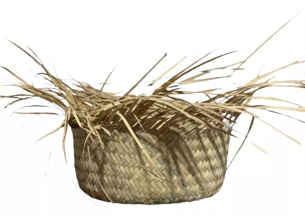 Tercera imagen para búsqueda de sombrero de palma