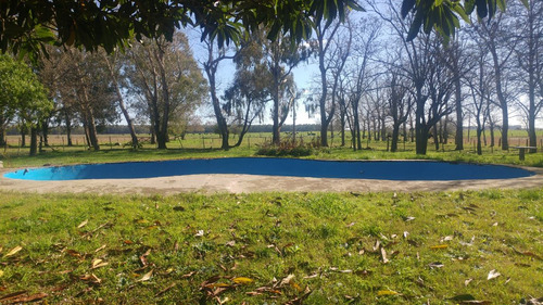 Imagen 14 de 14 de Campo Mixto, Ideal Haras Ptdo Punta Indio
