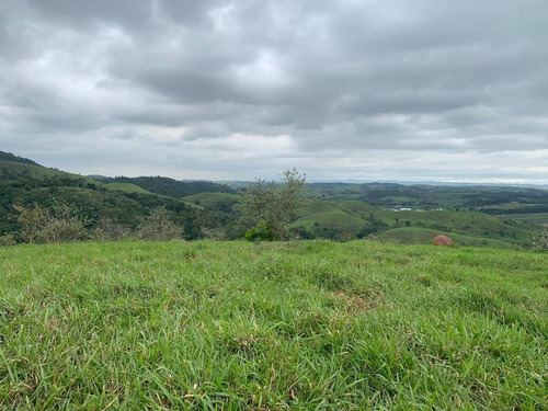 Imagem 6 de 6 de E22-desapego Do Meu Lote Com Ótimo Preço