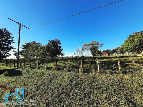Imagem 4 de 8 de Vendo Área Frente Para Raposo Tavares Itapetininga Sp - 454