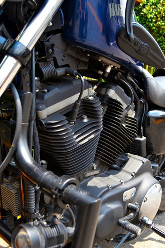 Imagen 14 de 15 de Flamante Harley Sportster Iron 883 Impecable Nacional