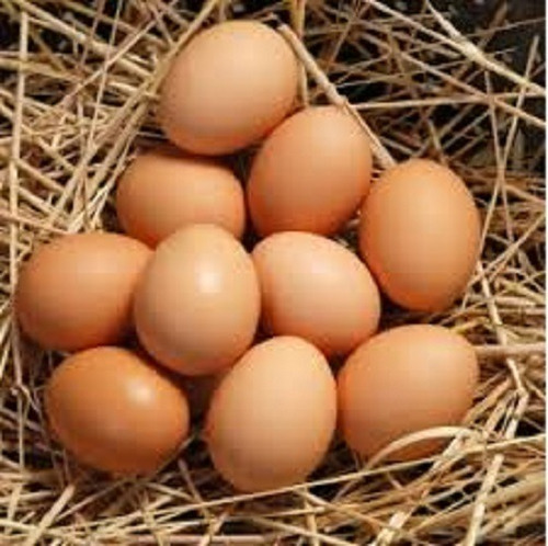 Huevos De Campo Organicos