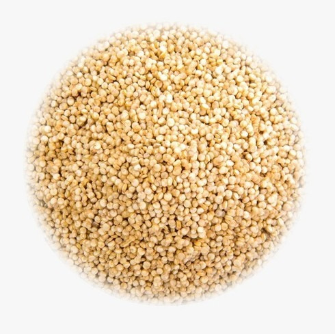 Quinoa Blanca 