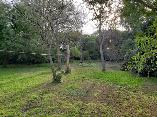 Imagen 9 de 14 de Miramar En Venta Casa Quinta C/galpon Habilitado