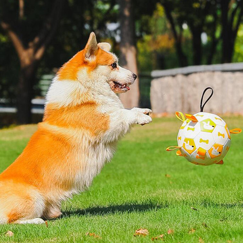 Pelota De FĂștbol De Goma Para Mascotas, Suministros Para S