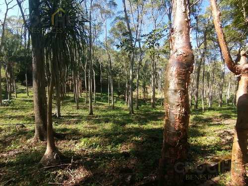 Se Vende Terreno En La Concepción Veracruz