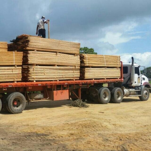 Machihembrado Machimbrado De Pino Caribe