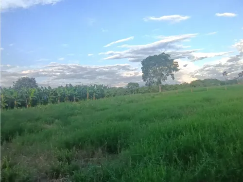 Se Venden Lotes Montenegro Quindío