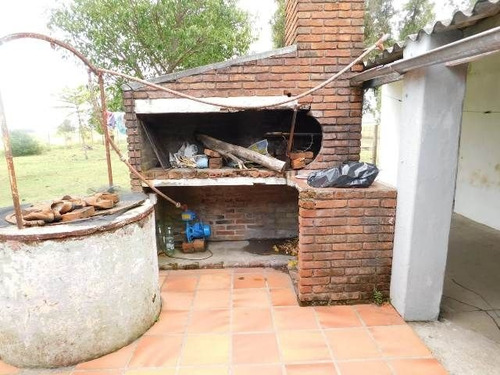Imagen 7 de 15 de Quinta En Venta En Maldonado