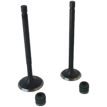 Comprar Jgo De Valvulas Y Sellos Tvs Hlx 150