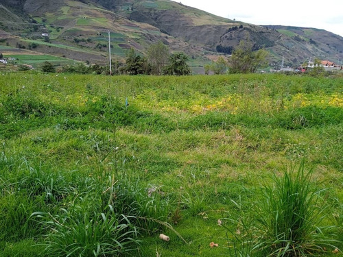 Finca En Venta Mérida, Las Trincheras 